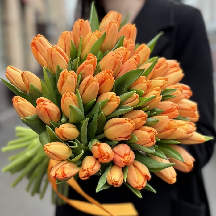 Тюльпан оранжевый Тайм аут