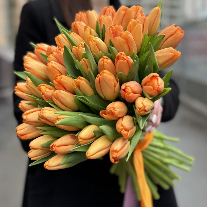 Тюльпан оранжевый Тайм аут