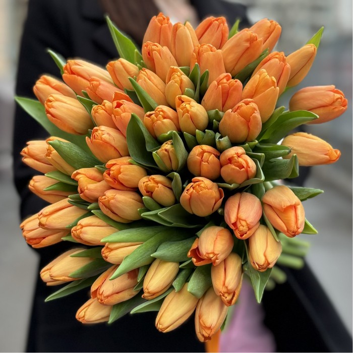 Тюльпан оранжевый Тайм аут