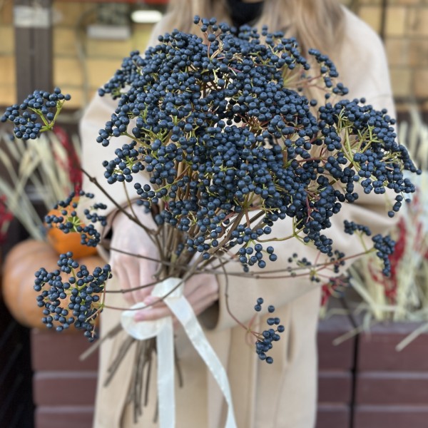 Вибурнум Дарк блю