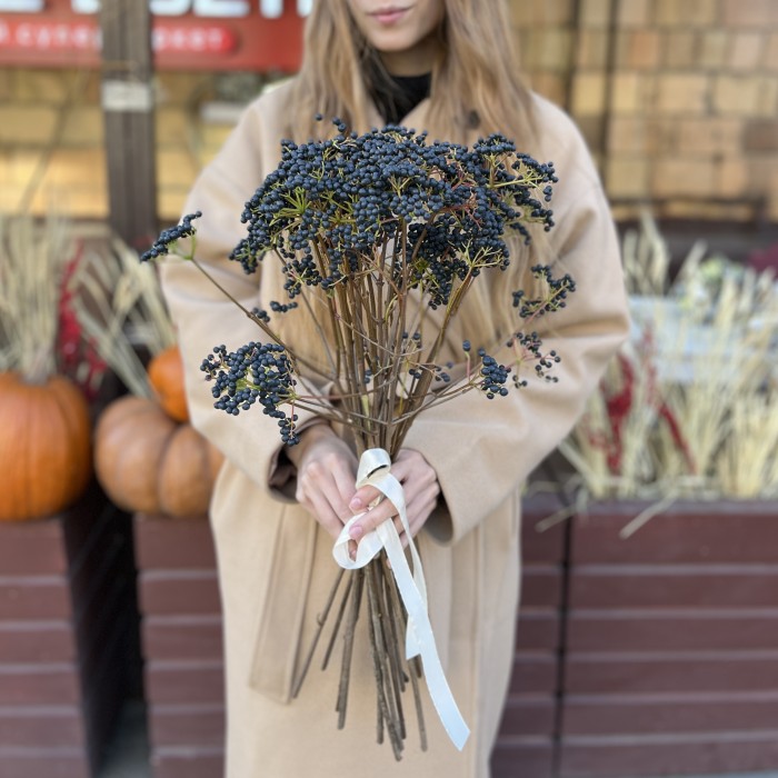 Вибурнум Дарк блю