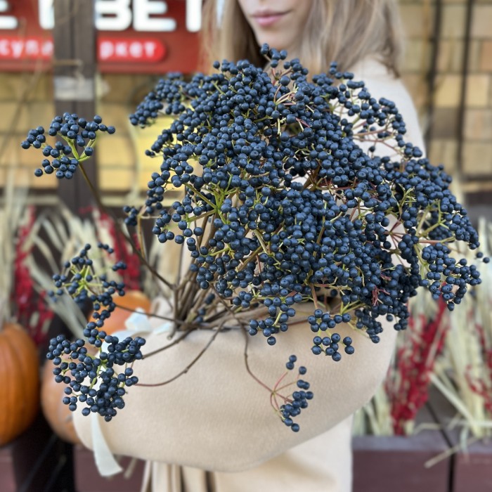 Вибурнум Дарк блю