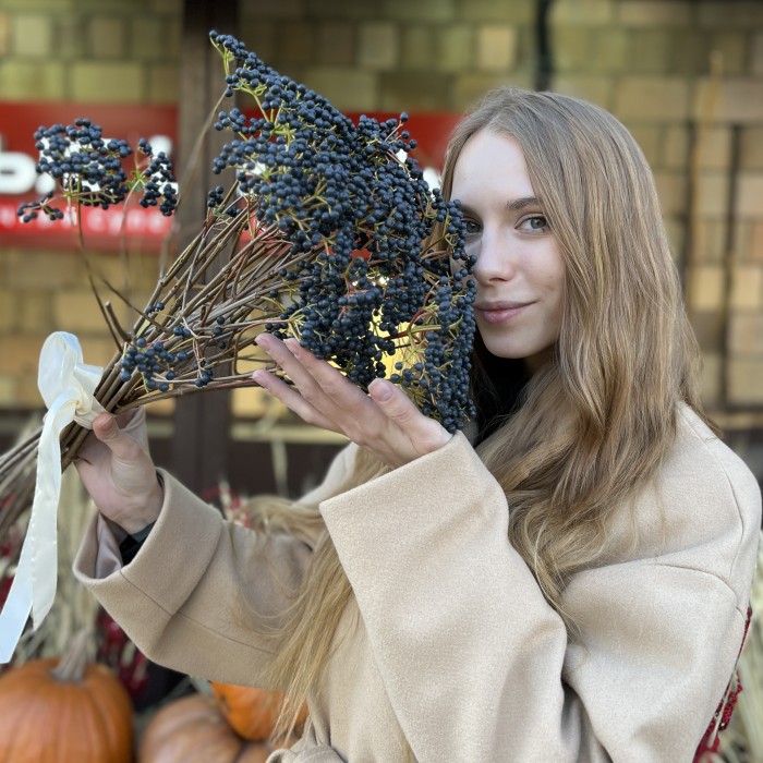 Вибурнум Дарк блю