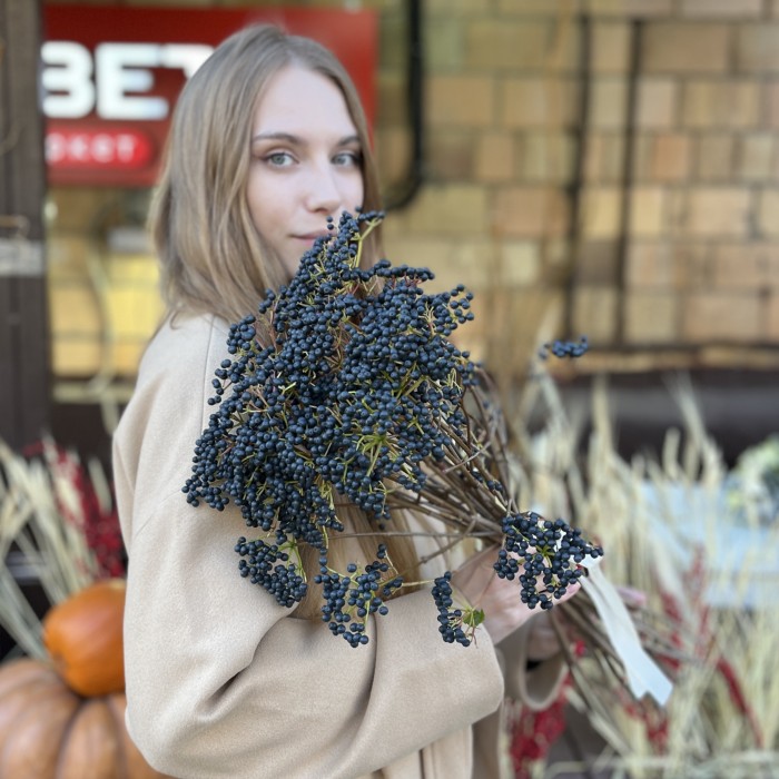 Вибурнум Дарк блю