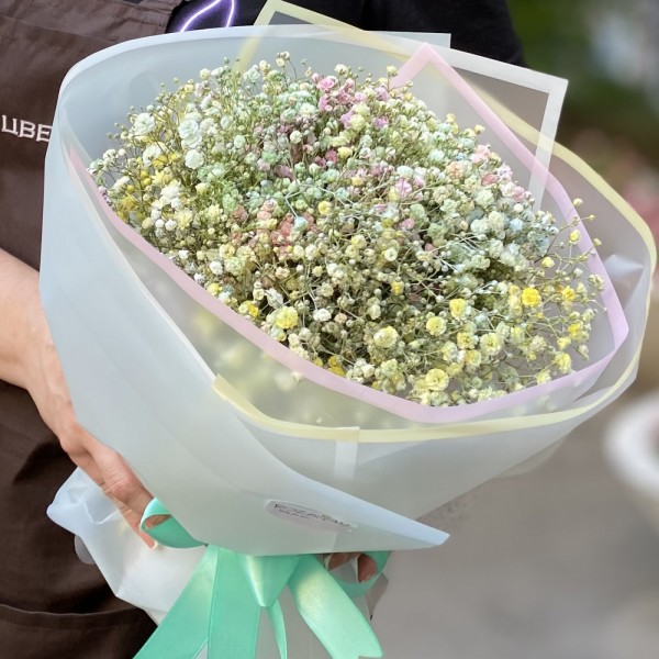 Воздушная гипсофила в упаковке