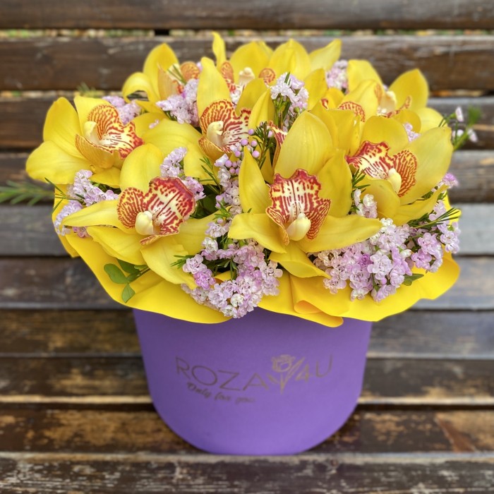 Яркие желтые орхидеи в коробке