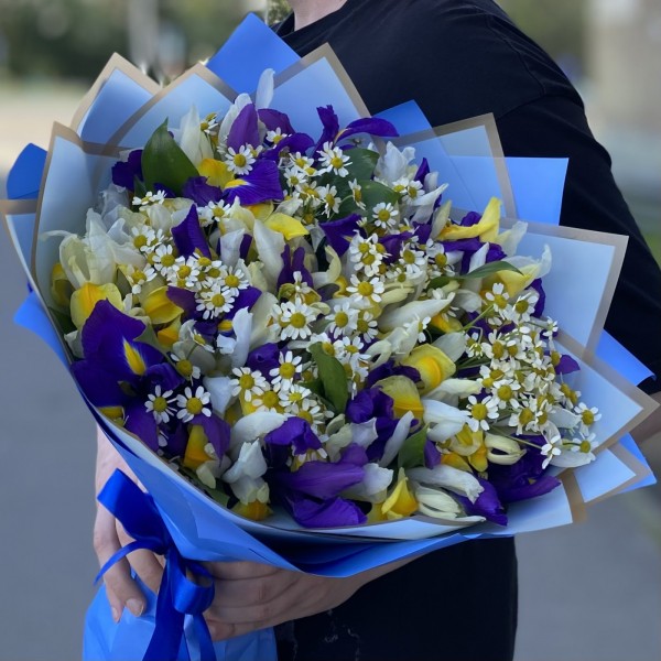 Яркие ирисы с ромашками