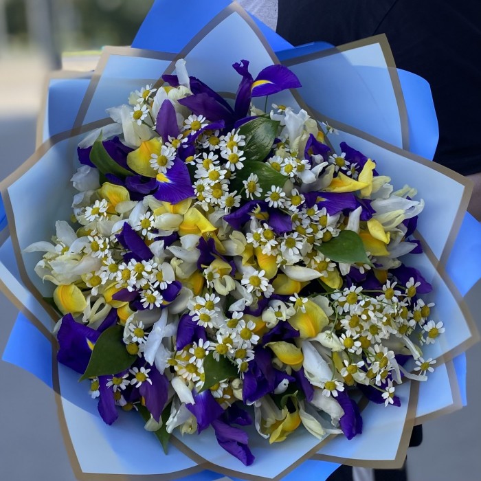 Яркие ирисы с ромашками