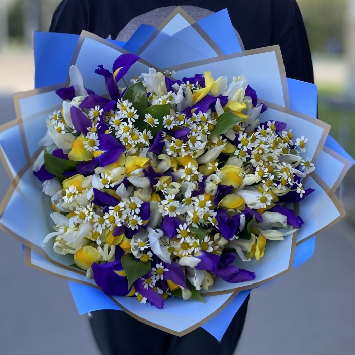 Яркие ирисы с ромашками