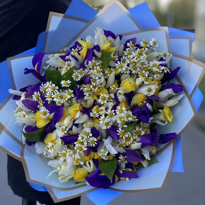 Яркие ирисы с ромашками