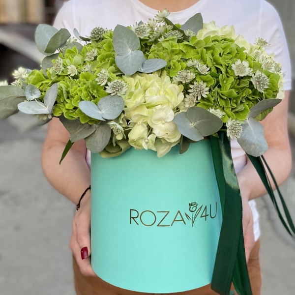 Зеленые гортензии микс с эвкалиптом в коробке