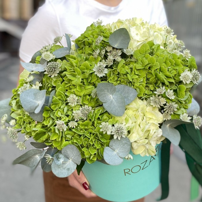 Зеленые гортензии микс с эвкалиптом в коробке