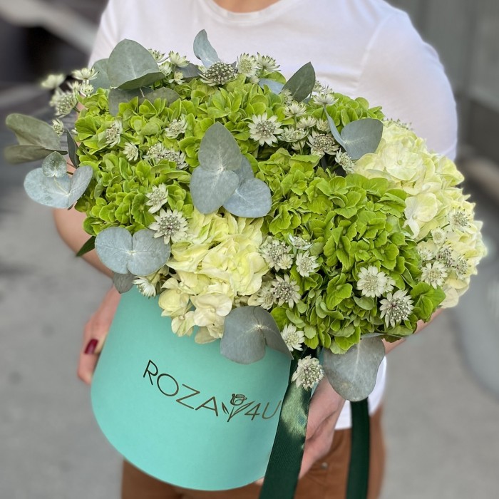 Зеленые гортензии микс с эвкалиптом в коробке