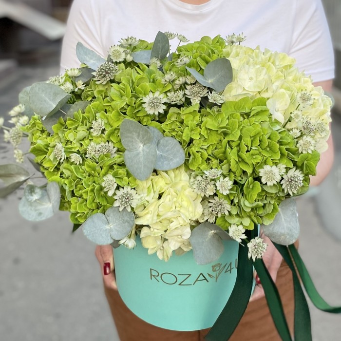Зеленые гортензии микс с эвкалиптом в коробке