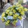 Желтая альстромерия с эвкалиптом в коробке