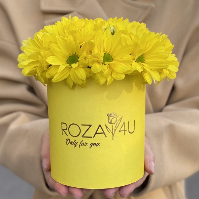 Желтые кустовые хризантемы в коробке