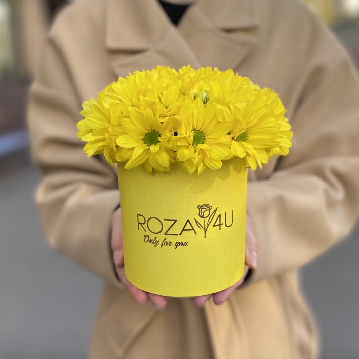 Желтые кустовые хризантемы в коробке