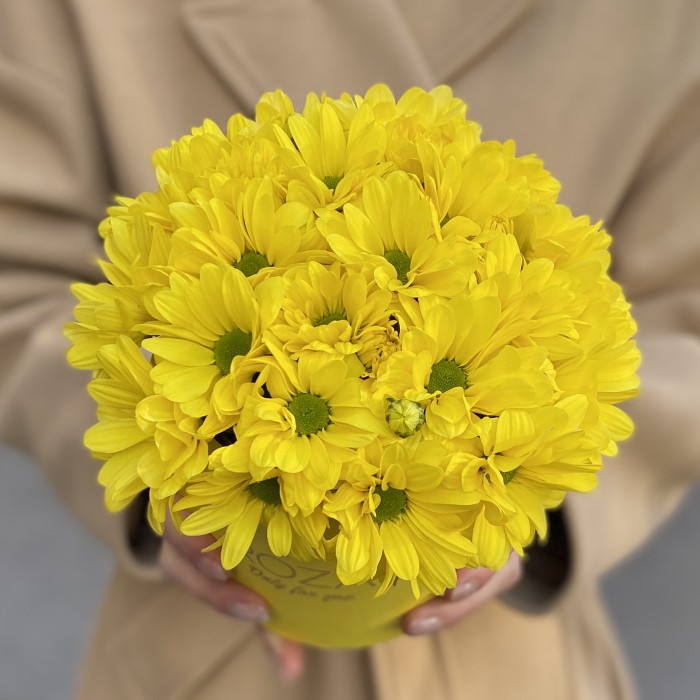 Желтые кустовые хризантемы в коробке