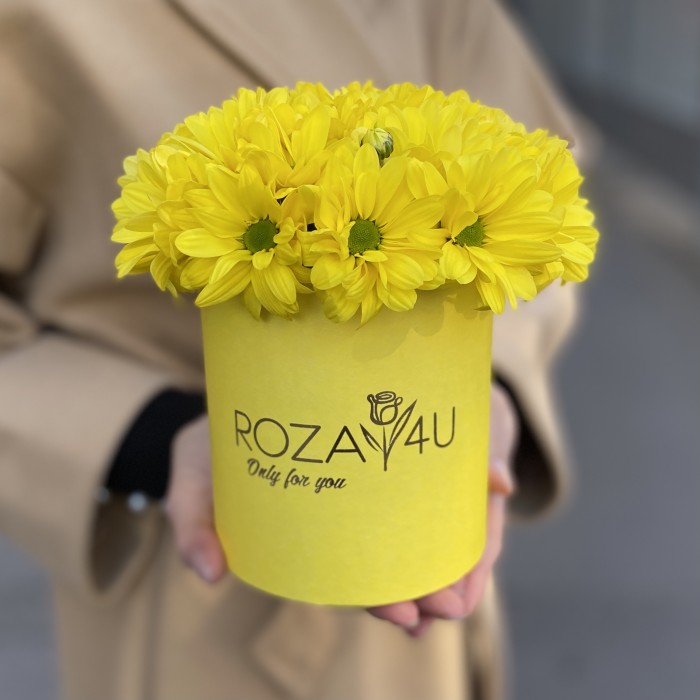 Желтые кустовые хризантемы в коробке