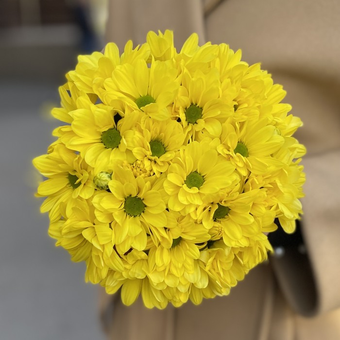 Желтые кустовые хризантемы в коробке