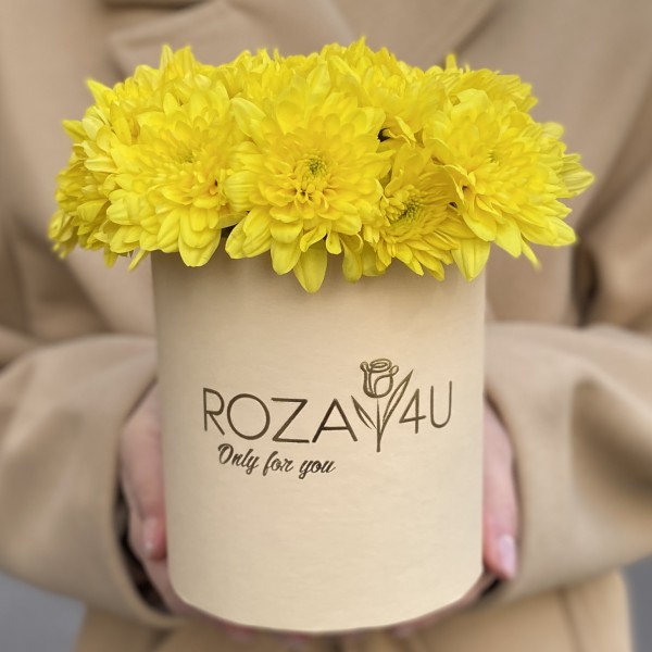 Желтые кустовые хризантемы в коробке Балтика