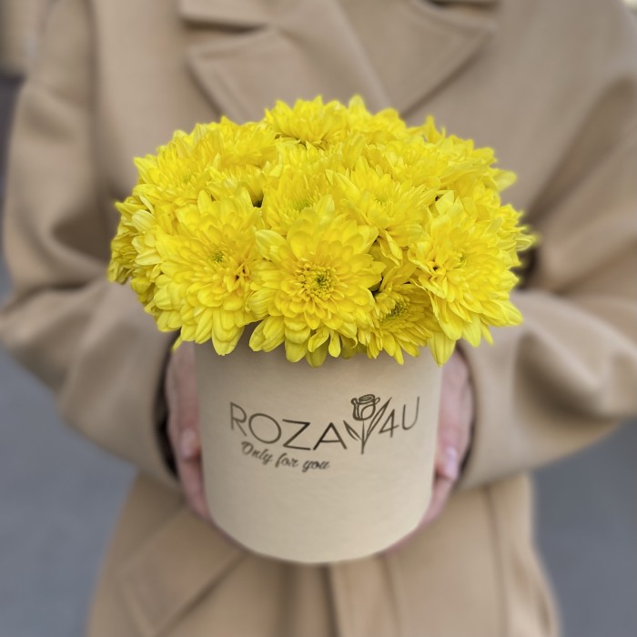 Желтые кустовые хризантемы в коробке Балтика