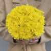 Желтые кустовые хризантемы в коробке Балтика