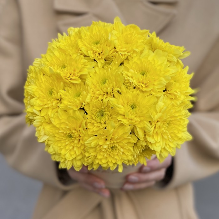 Желтые кустовые хризантемы в коробке Балтика