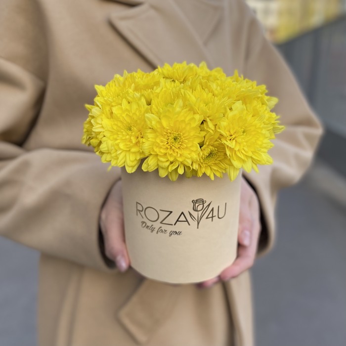 Желтые кустовые хризантемы в коробке Балтика