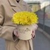 Желтые кустовые хризантемы в коробке Балтика