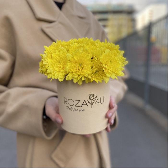 Желтые кустовые хризантемы в коробке Балтика