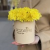 Желтые кустовые хризантемы в коробке Балтика