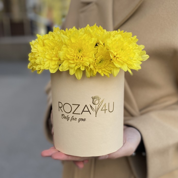 Желтые кустовые хризантемы в коробке Балтика