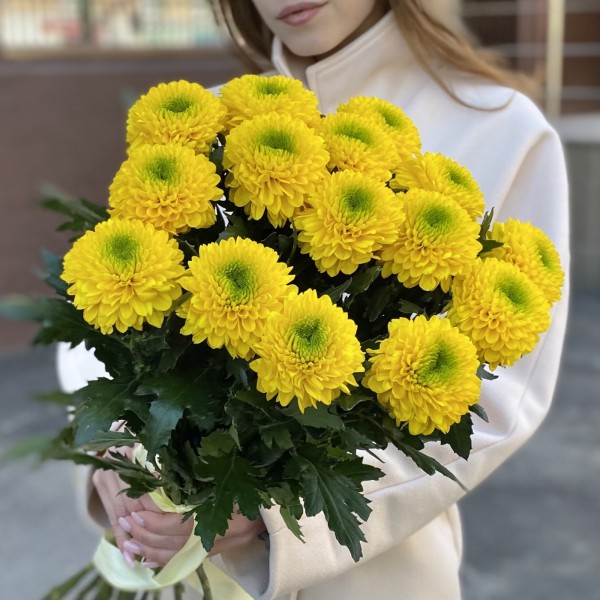 Жёлтые хризантемы Помпон