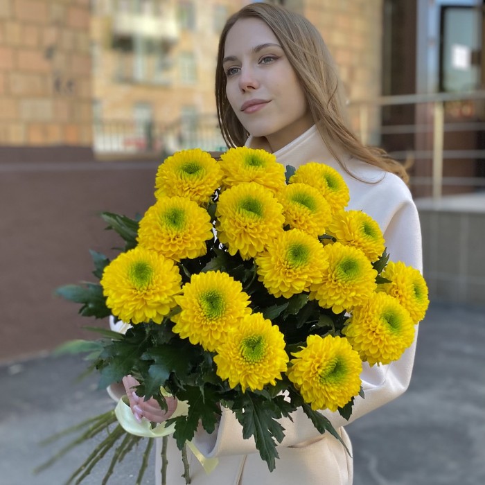 Жёлтые хризантемы Помпон