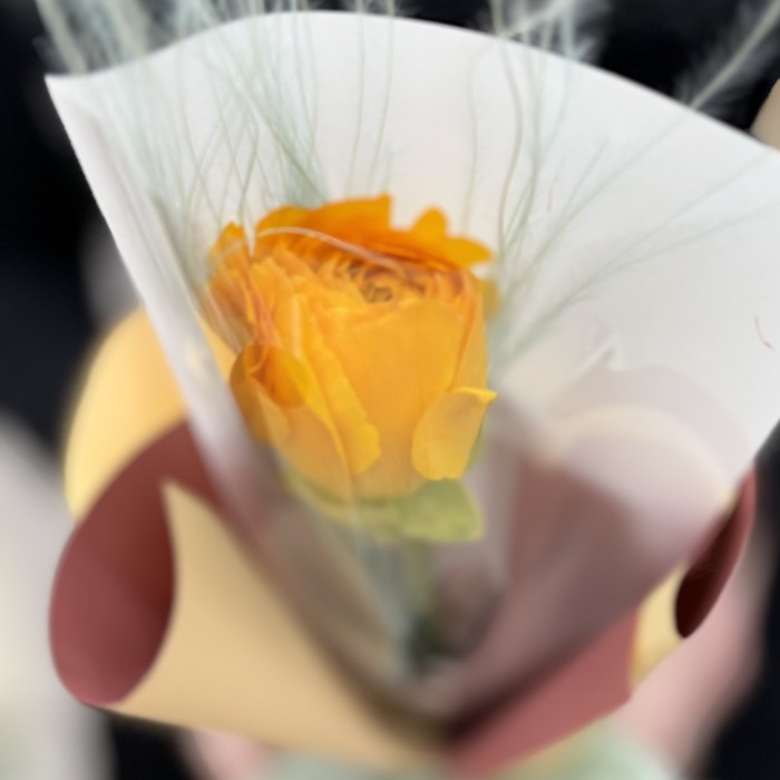 Желтый ранункулюс в упаковке