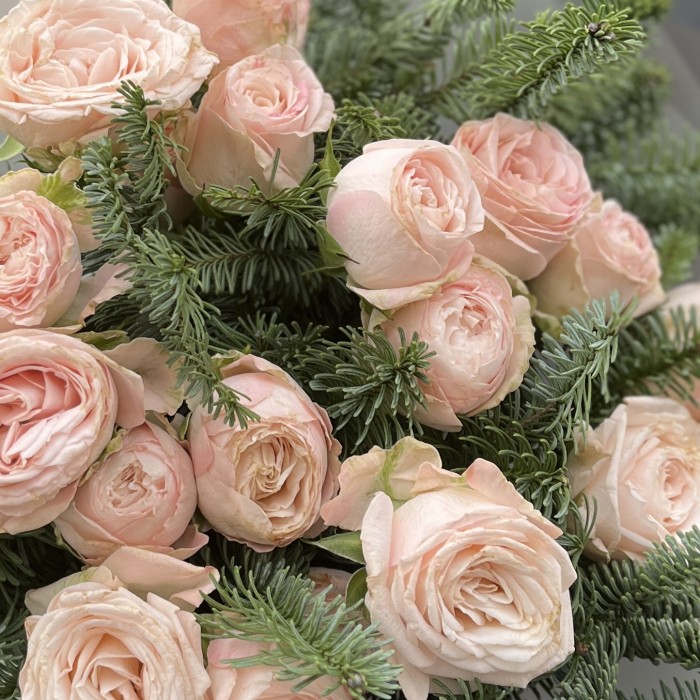 Зимний букет из 5 кустовых пионовидных роз Бомбастик