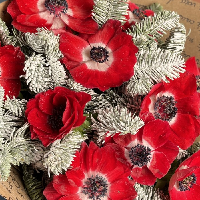 Зимний букет красных анемонов