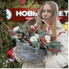 Зимняя композиция Поэзия Зимы в корзине