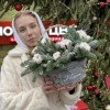 Зимняя композиция в корзине с хлопком