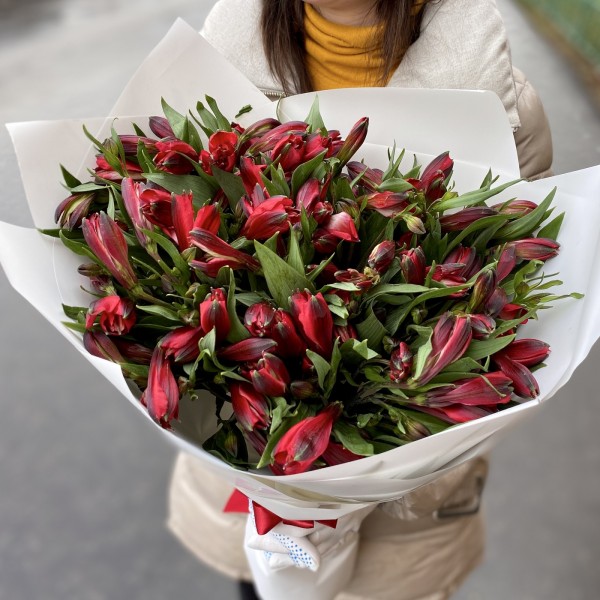 Букет красных альстромерий