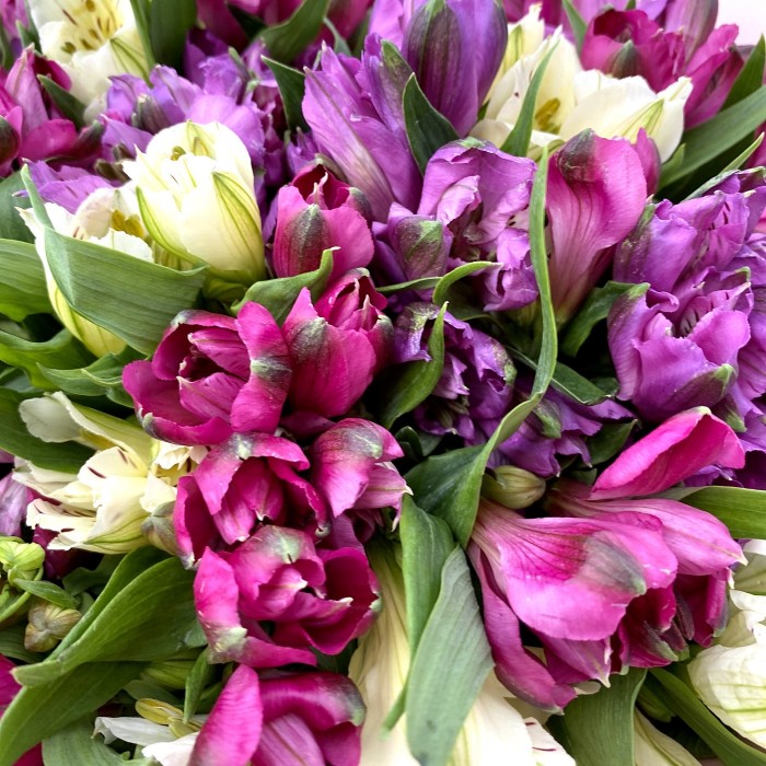 Букет из фиолетовой и белой альстромерии