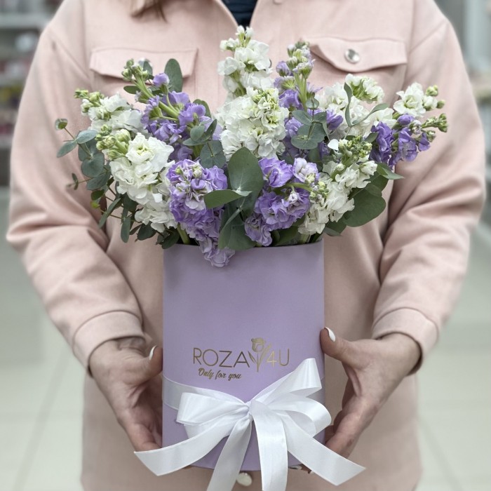 Микс белых и сиреневых маттиол в коробке