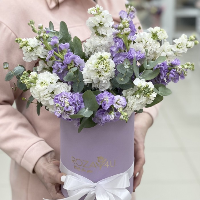 Микс белых и сиреневых маттиол в коробке