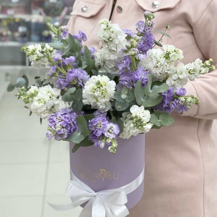 Микс белых и сиреневых маттиол в коробке
