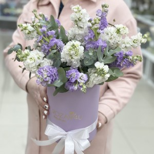 Микс белых и сиреневых маттиол в коробке