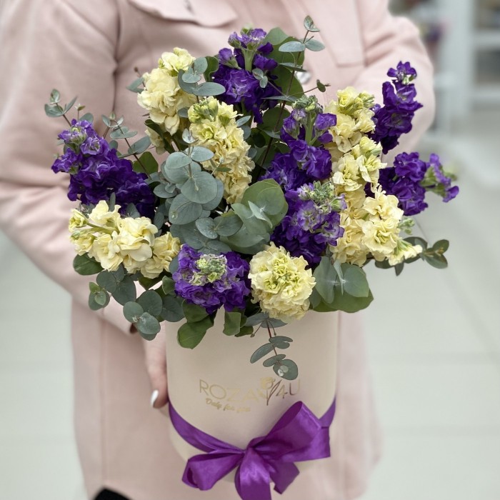 Микс фиолетовых и кремовых маттиол в коробке