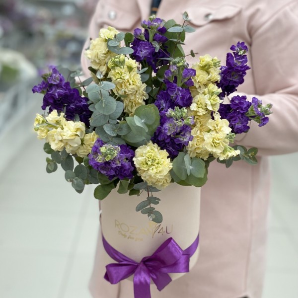 Микс фиолетовых и кремовых маттиол в коробке