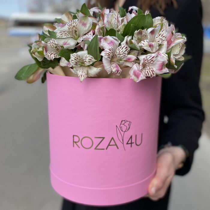 Бело-сиреневые альстромерии в коробке