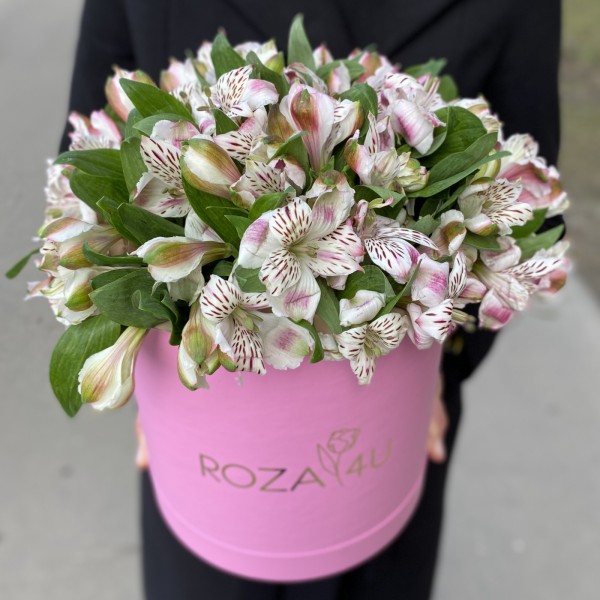 Бело-сиреневые альстромерии в коробке